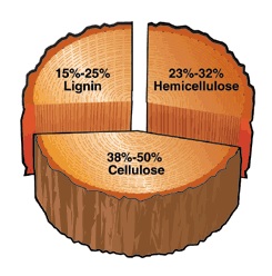 bagaimana kertas dibuat